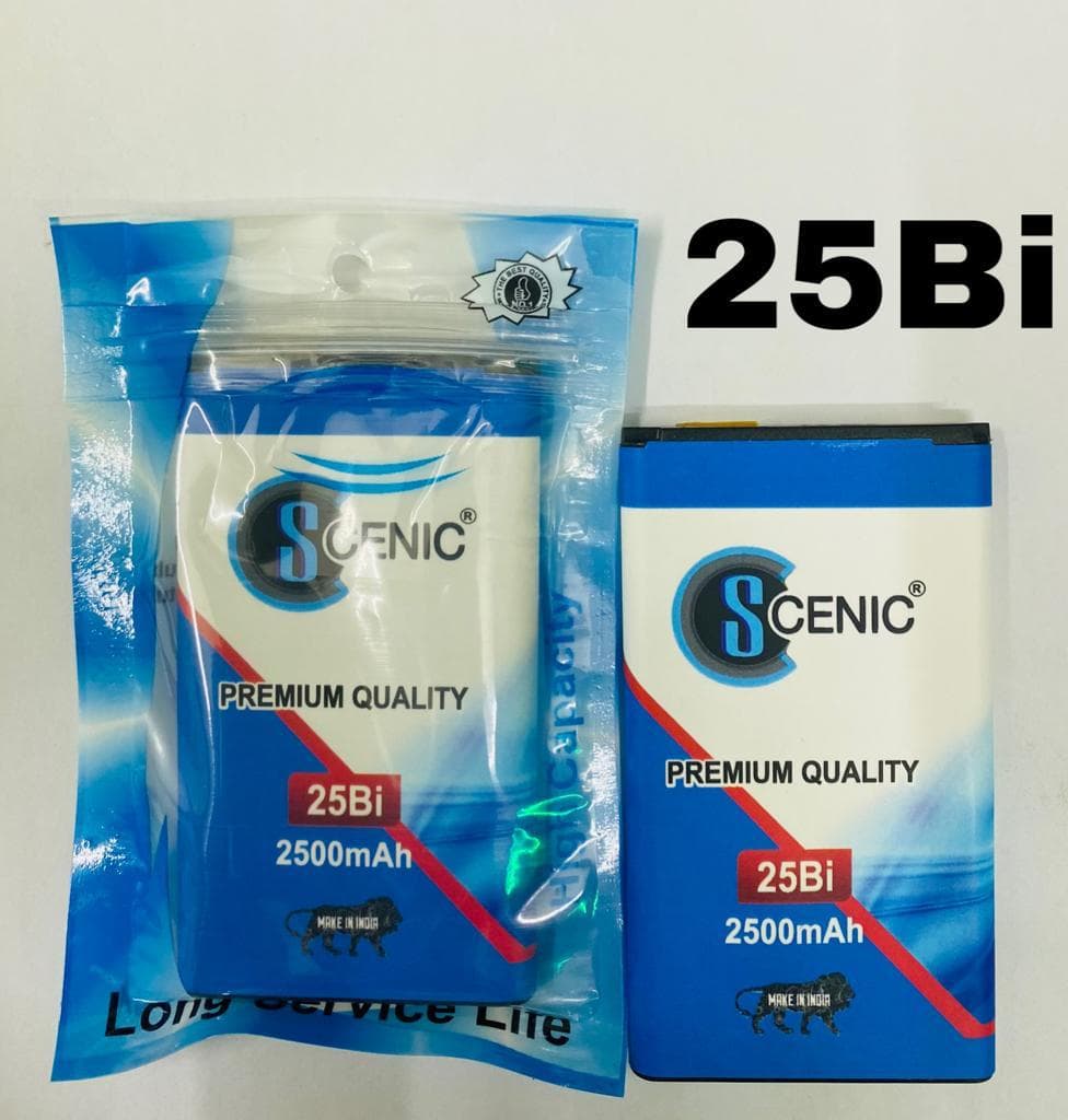 SCENIC 25 BI BATTERY PLOY PACKING