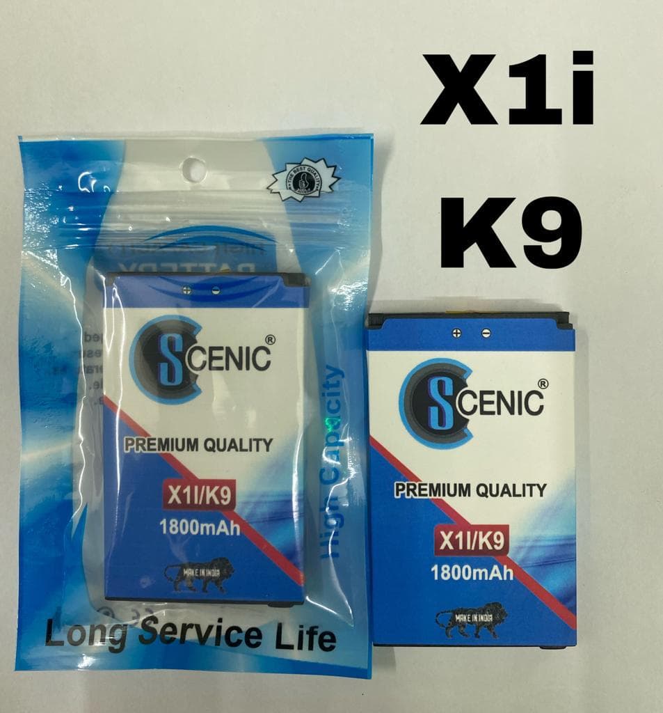 SCENIC X1I/K9 BATTERY PLOY PACKING