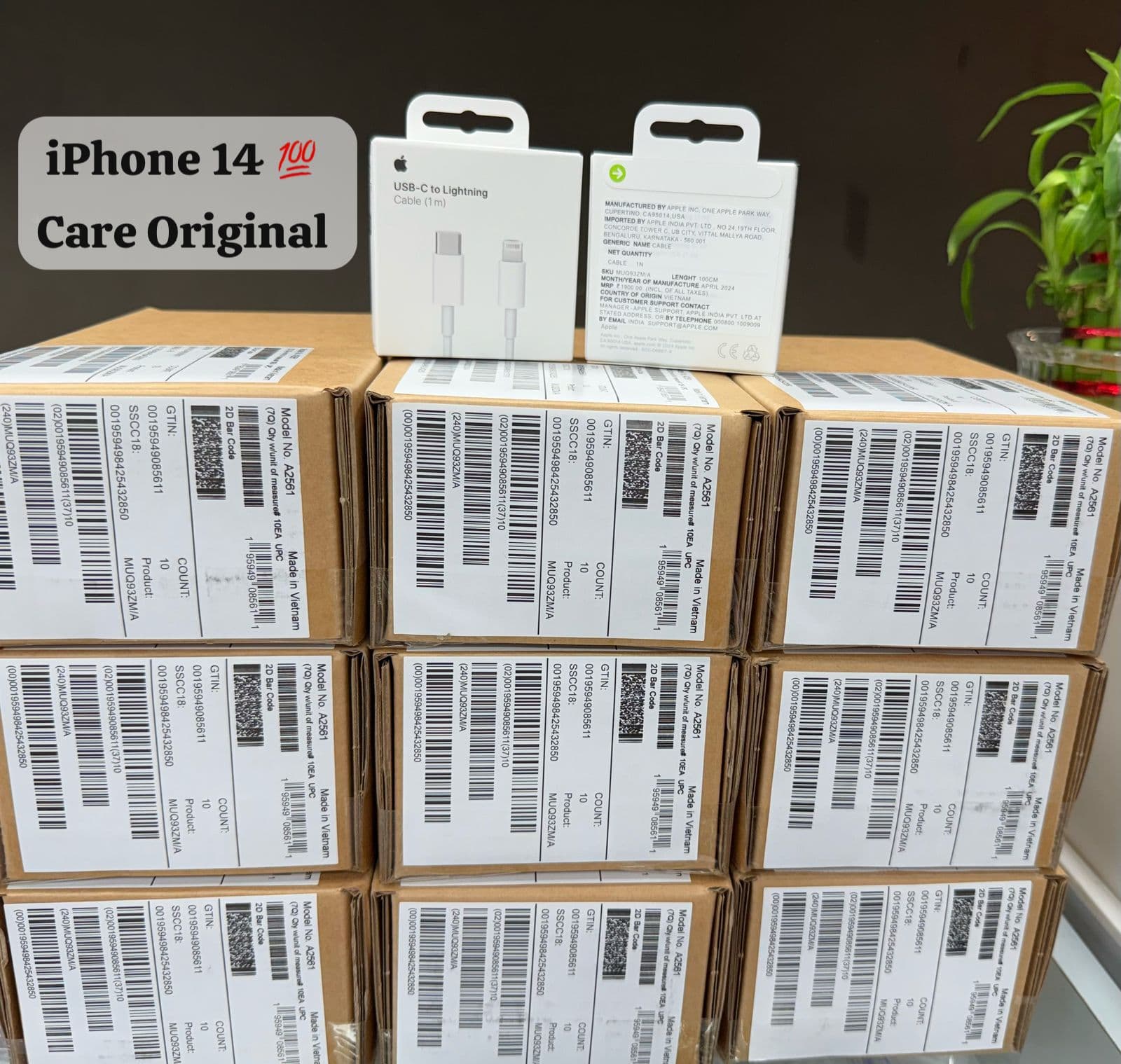 iPhone 14 [ C to Lightning ] 💯 Care Original Cable