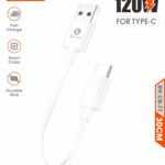 RIVANO RN CB-77 120W FAST CHARGE TYPE C POWERBANK CABLE